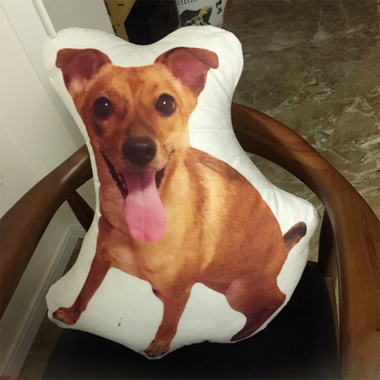 Pet Photo Pillow · 毛孩相片造型攬枕